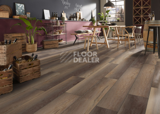 Kronotex Exquisit 8мм d81002 Дуб Гнарренбург коричневый фото 3 | FLOORDEALER